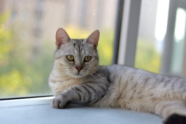 Sigurniji oralni seks: vodič za komunikaciju, higijenu i poštivanje granica