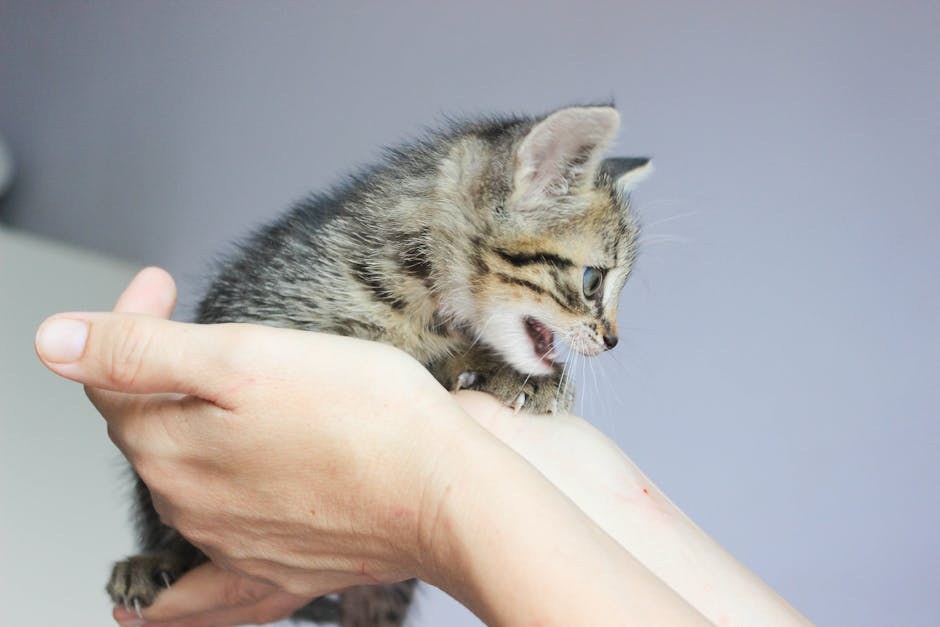 Ignorirani nakon seksa: 21 razlog i što učiniti ako si ghosted nakon seksa