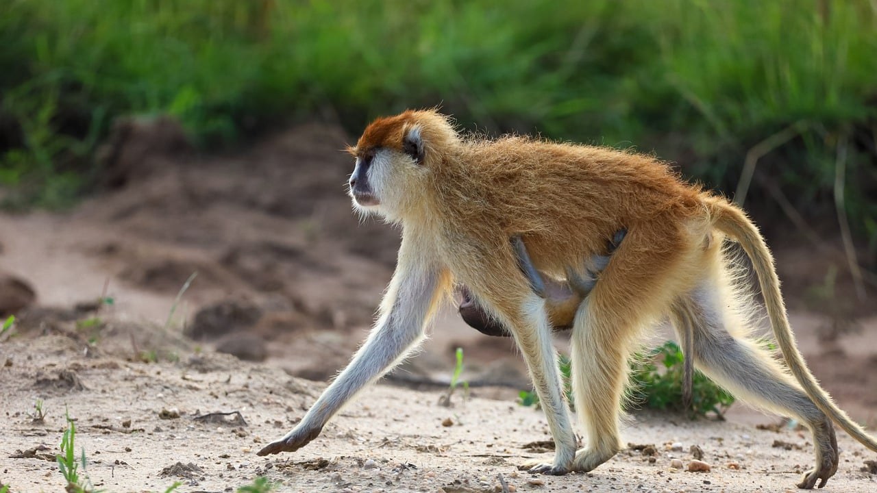 Vodič za seks: 20 stvari o tome kako imati i uživati u seksu koje vam nitko ne kaže