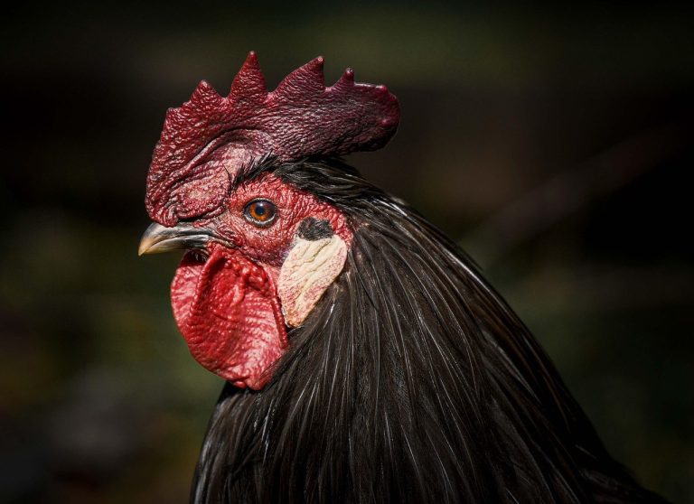 Zavodljive žene: 20 načina na koje vas osvajaju šarmom i senzualnošću