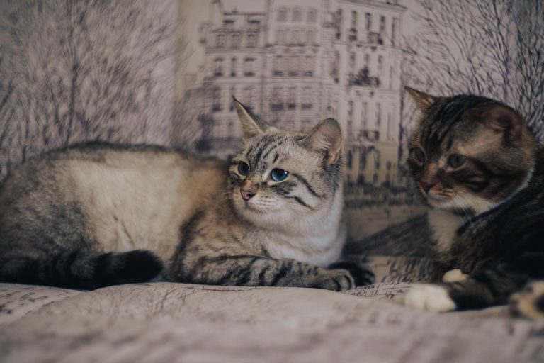 Najbolji načini da prekinete loš spoj i potezi koje nikad ne biste smjeli koristiti