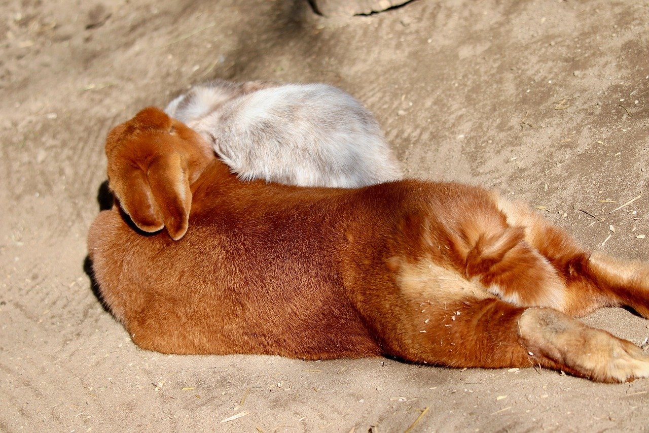 Svi mogući razlozi zašto se nije javio nakon spoja