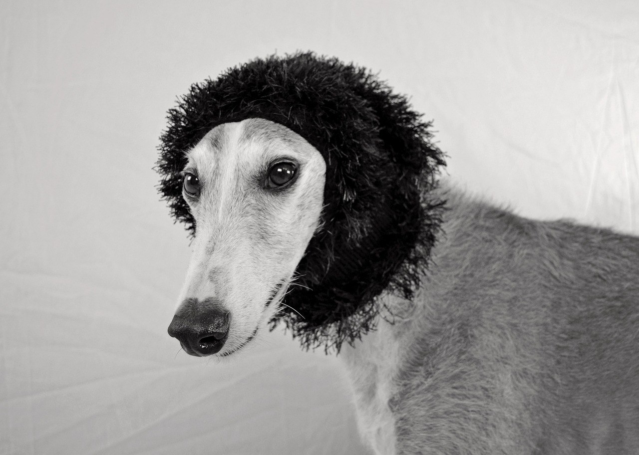 15 seksi početaka razgovora za parove koji će vas uzbuditi u nekoliko minuta