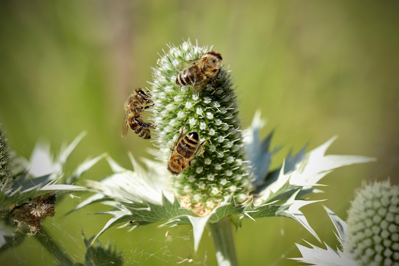 Dosadno u vezi: 78 znakova, razloga i načina da je učiniš zabavnom ASAP