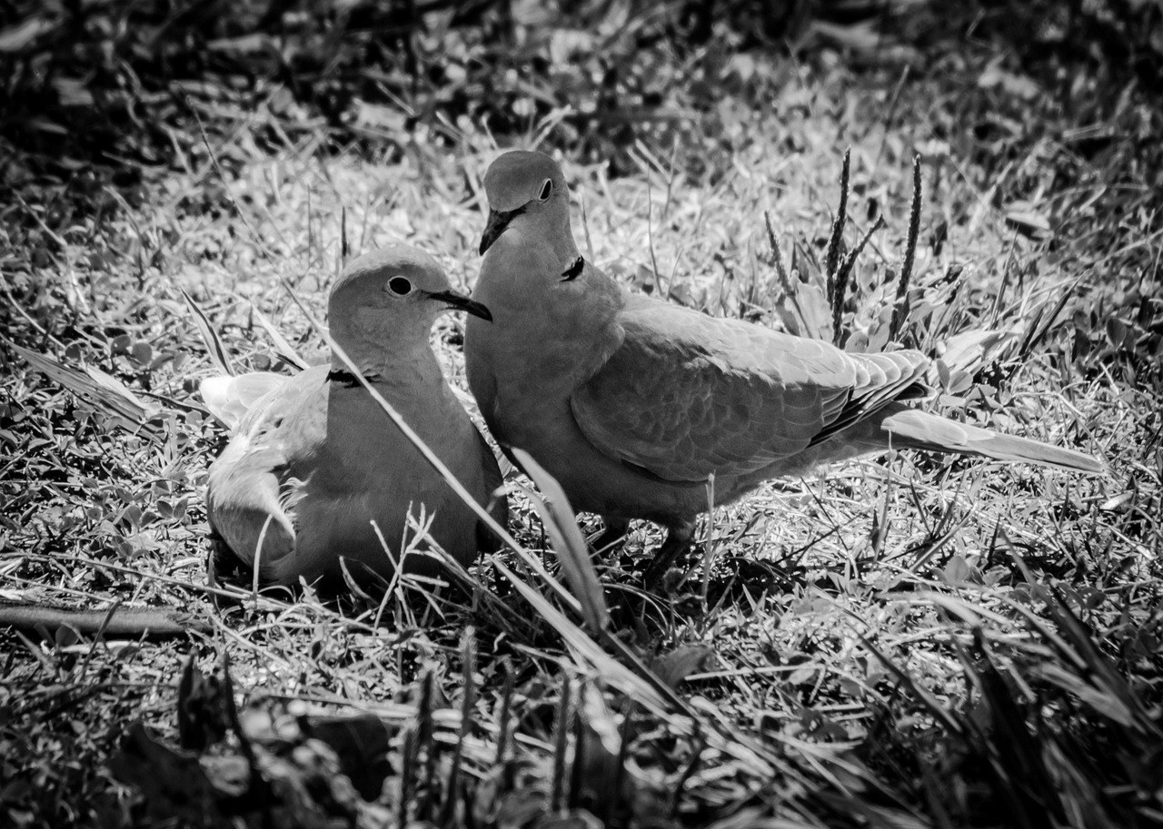 Kako pronaći svoj fictional character crush u stvarnom životu