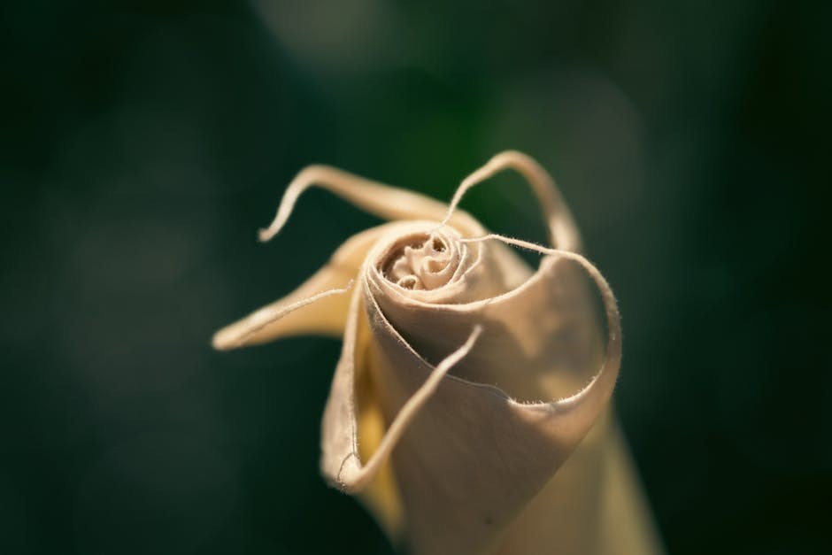 Velike grudi: usponi i padovi iz svakodnevice