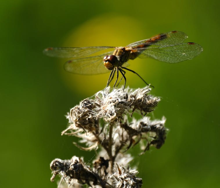 Velike grudi: usponi i padovi iz svakodnevice