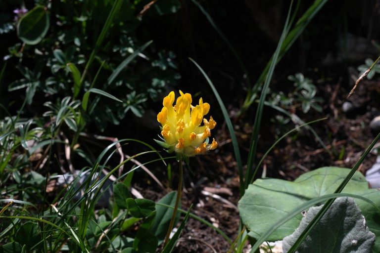 26 seksi, prljavih i otkačenih stvari koje možete reći i raditi u krevetu - isprobajte nešto novo