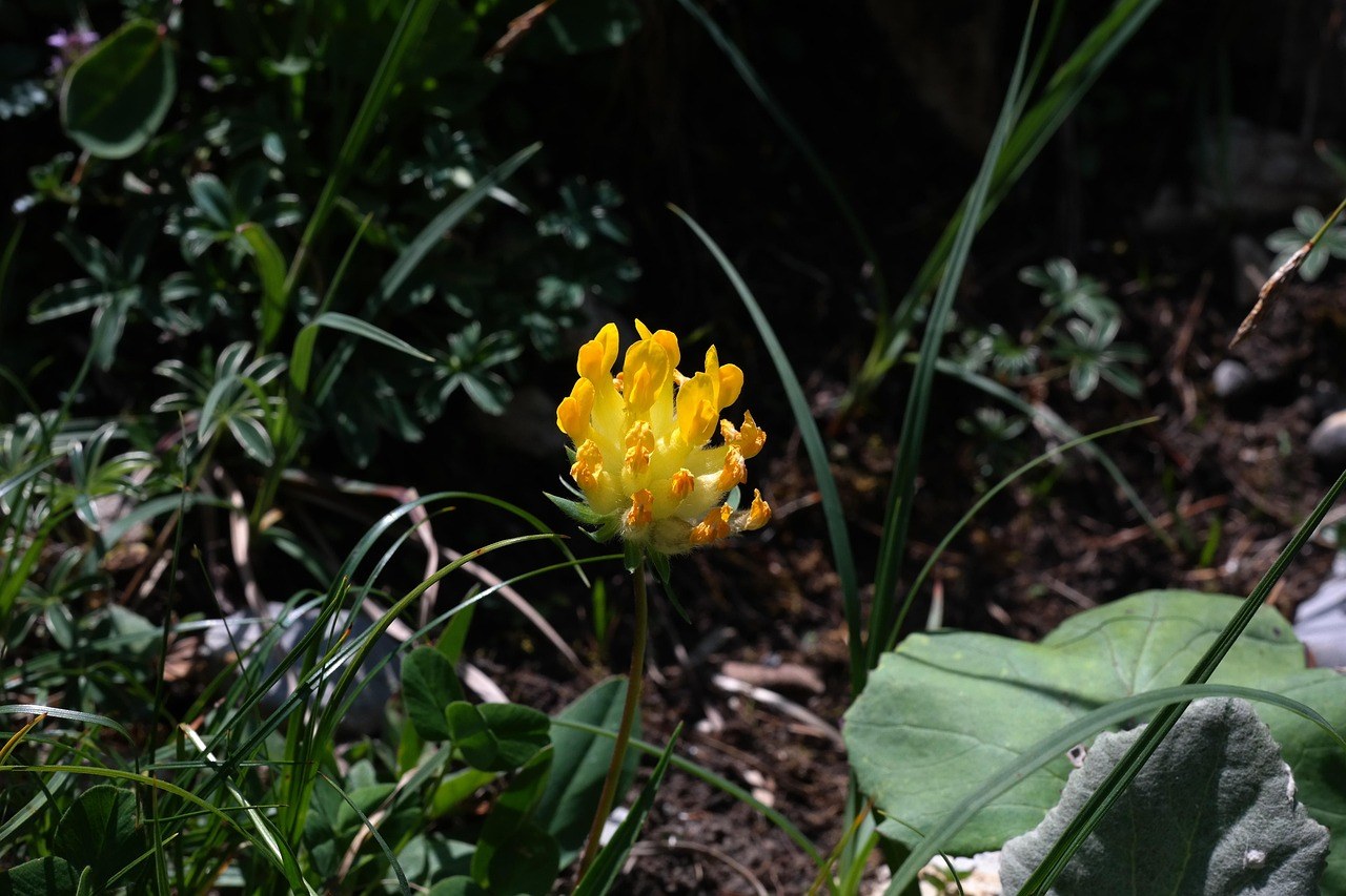 26 seksi, prljavih i otkačenih stvari koje možete reći i raditi u krevetu - isprobajte nešto novo