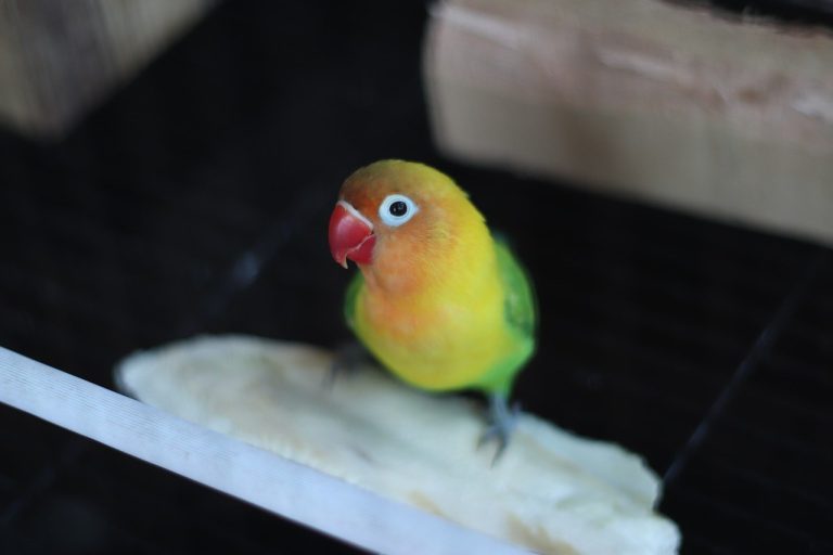 24 jasna znaka da je veza nezdrava i da zauvijek uništava ljubav