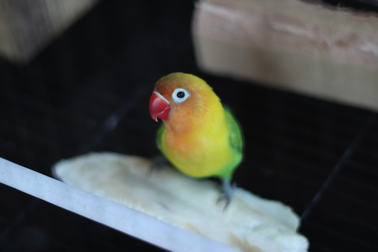 24 jasna znaka da je veza nezdrava i da zauvijek uništava ljubav