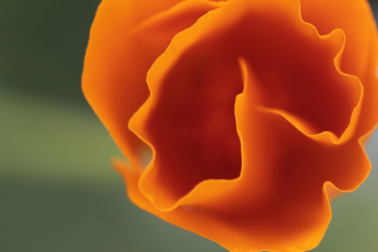 Kako gledati pornografiju s djevojkom i potaknuti je da uživa s tobom