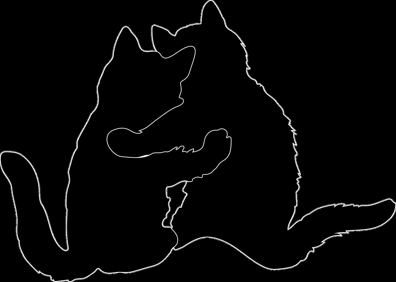 25 znakova da će ti relationship therapy pomoći u vezi