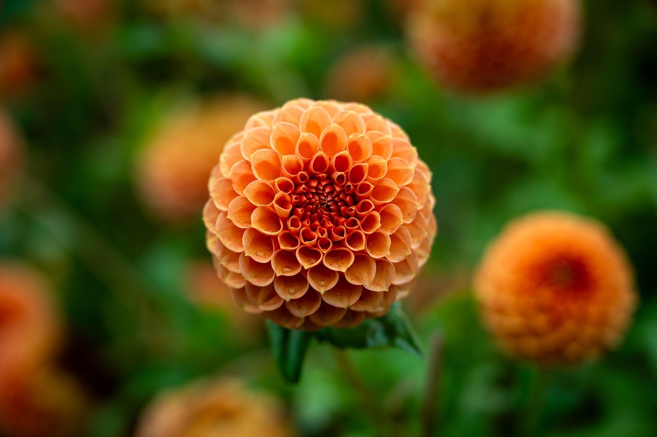 50 sigurnih i kreativnih ideja za dublju intimnost u dvoje