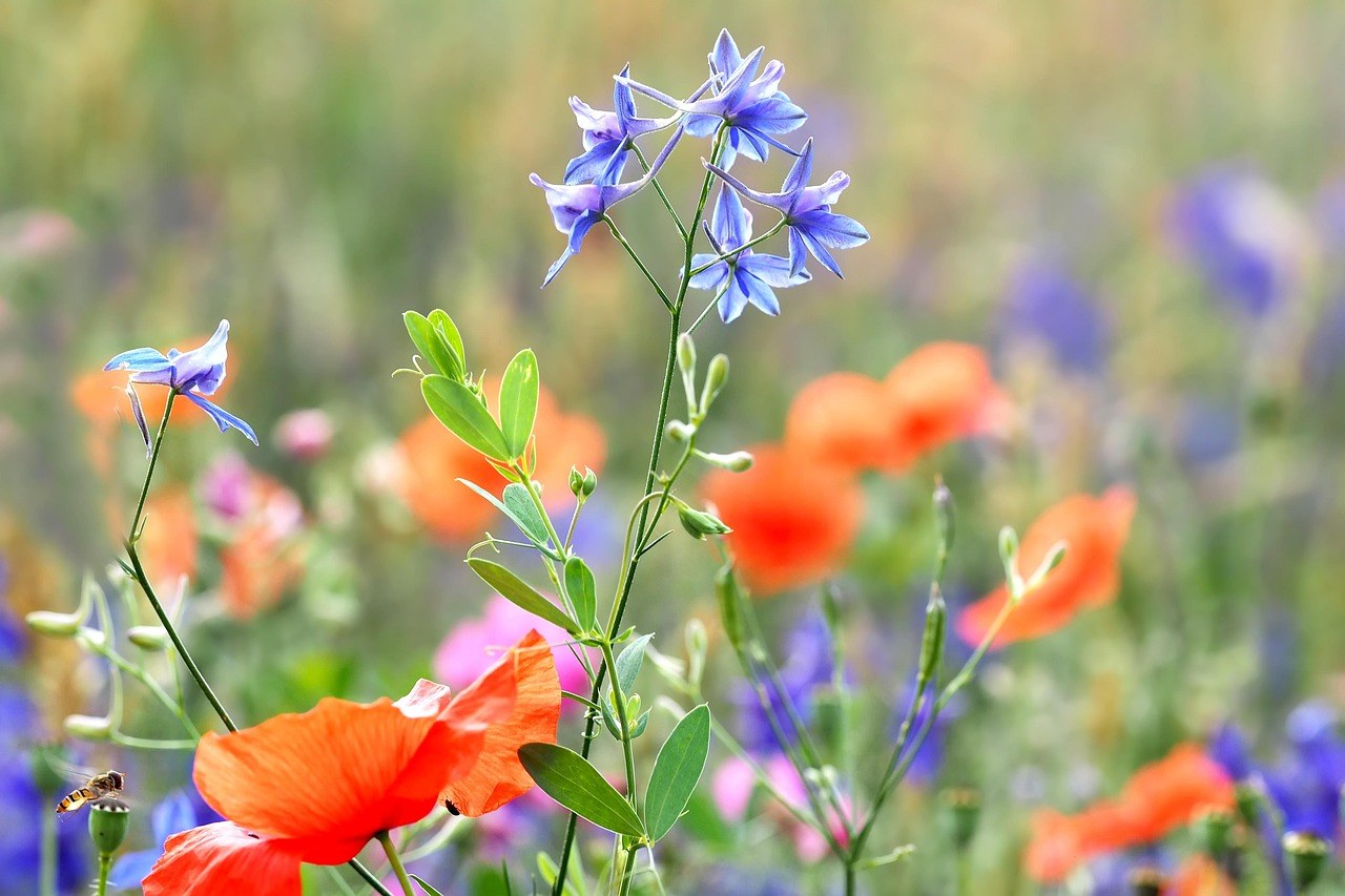 Kako savladati dirty talk : 36 seksi savjeta i 55 primjera koji pale na riječi