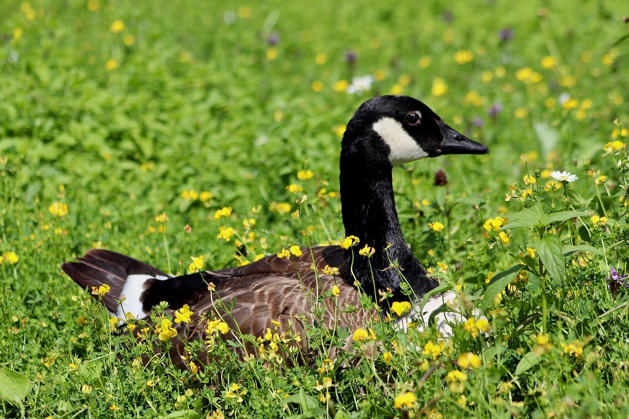 Spori senzualni pristup: kako izgraditi intimnost koja ostaje u sjećanju