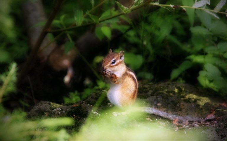 Kako se osjeća vagina? 35 činjenica i opisa muškaraca