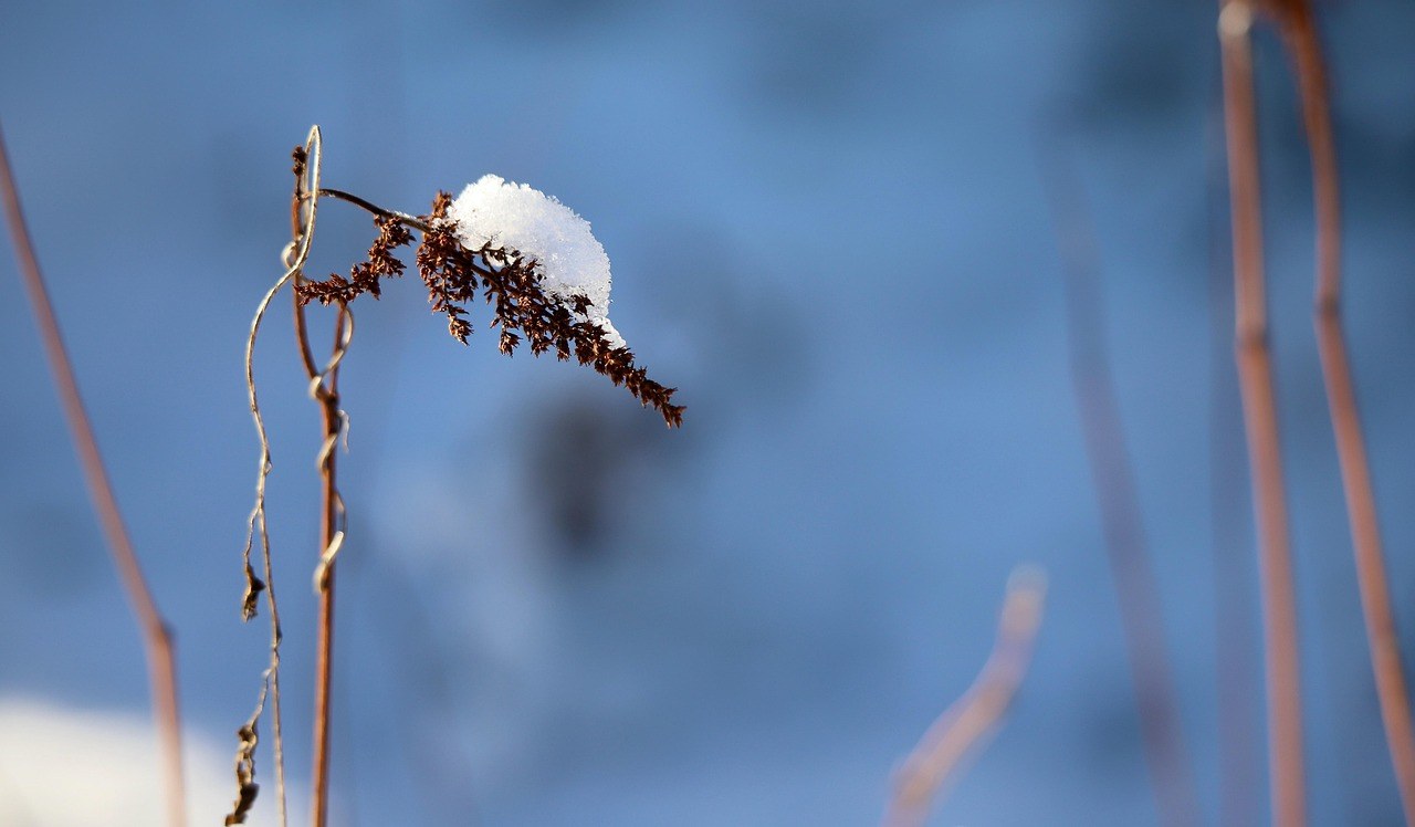 Seksualni role play : kako ga isprobati i 35 najboljih ideja za parove