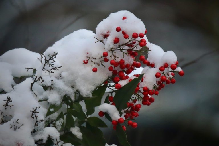 Seksualni role play : kako ga isprobati i 35 najboljih ideja za parove