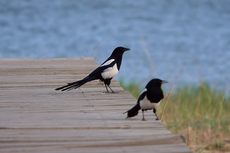 32 must-knows za prvu zajedničku noć za nezaboravno iskustvo