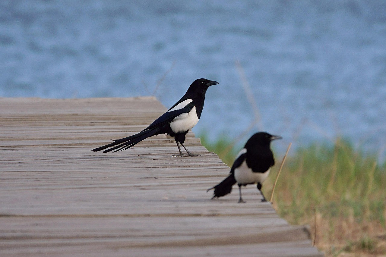 32 must-knows za prvu zajedničku noć za nezaboravno iskustvo