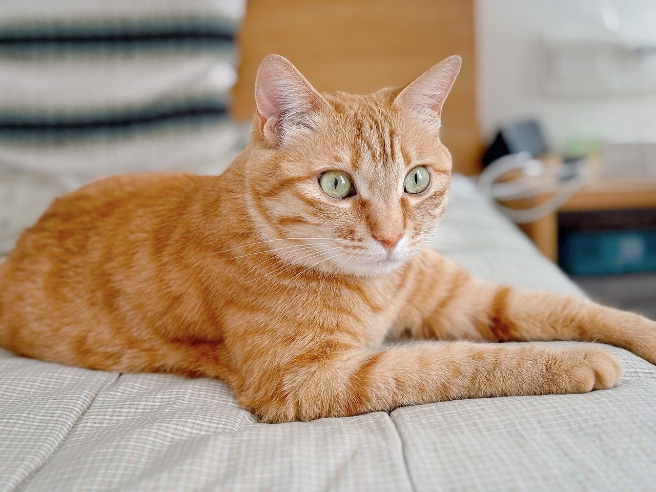 80 pitanja za dejtanje koja trebate postaviti prije nego što prijeđete na sljedeći korak