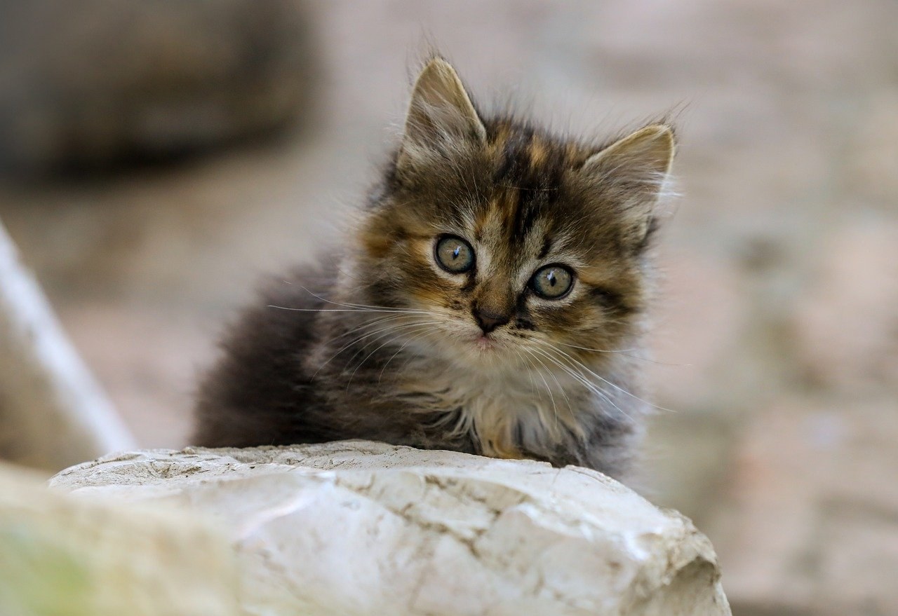 20 seksi savjeta za hookup bez napora