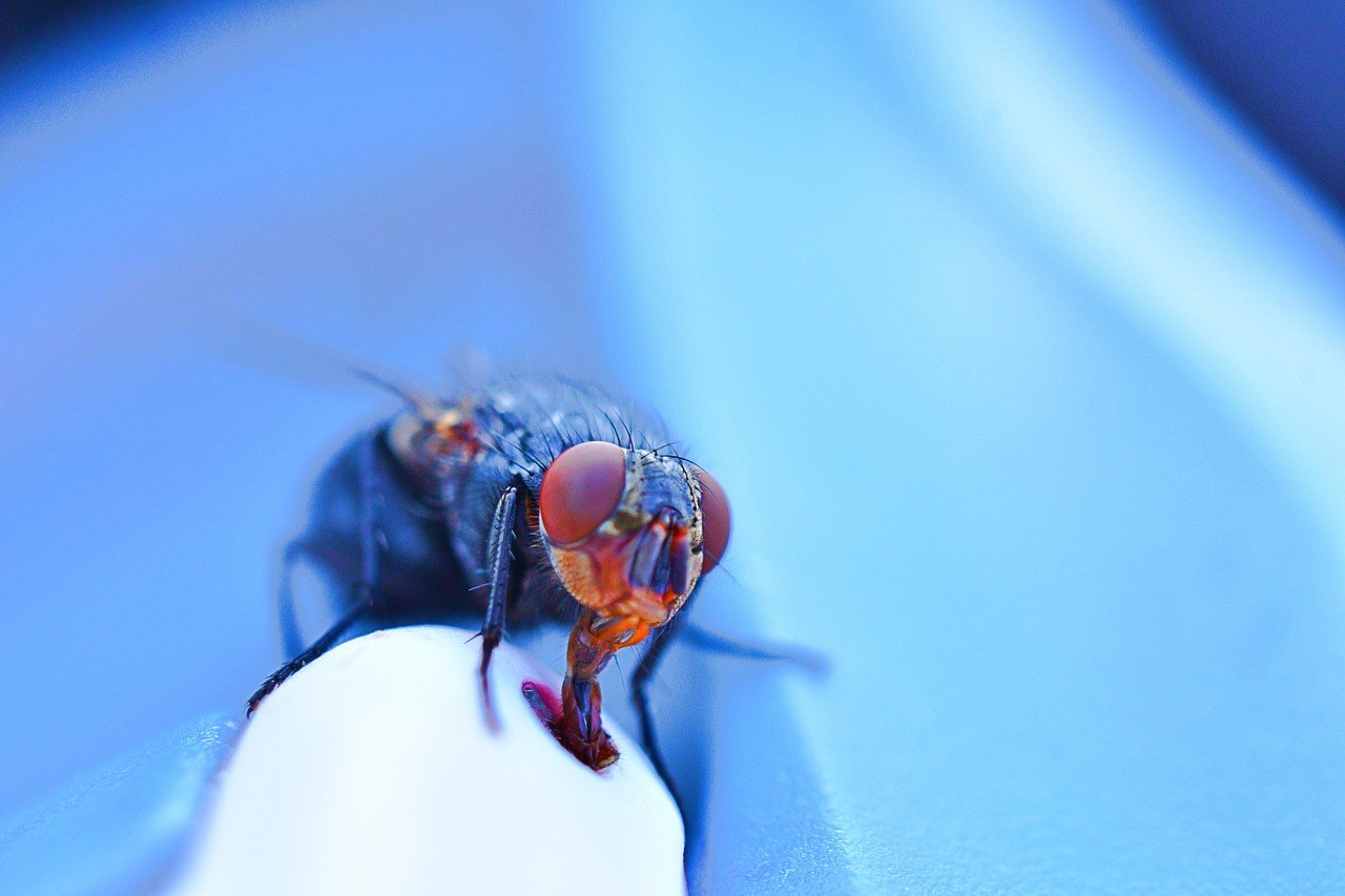 Biti prude : što to znači i 21 znak pretjerane skromnosti