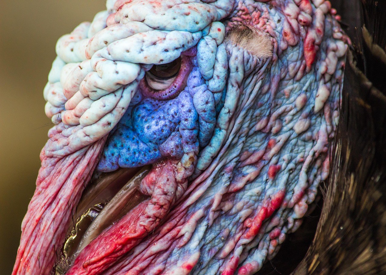 80 pitanja za dejtanje koja trebate postaviti prije nego što prijeđete na sljedeći korak