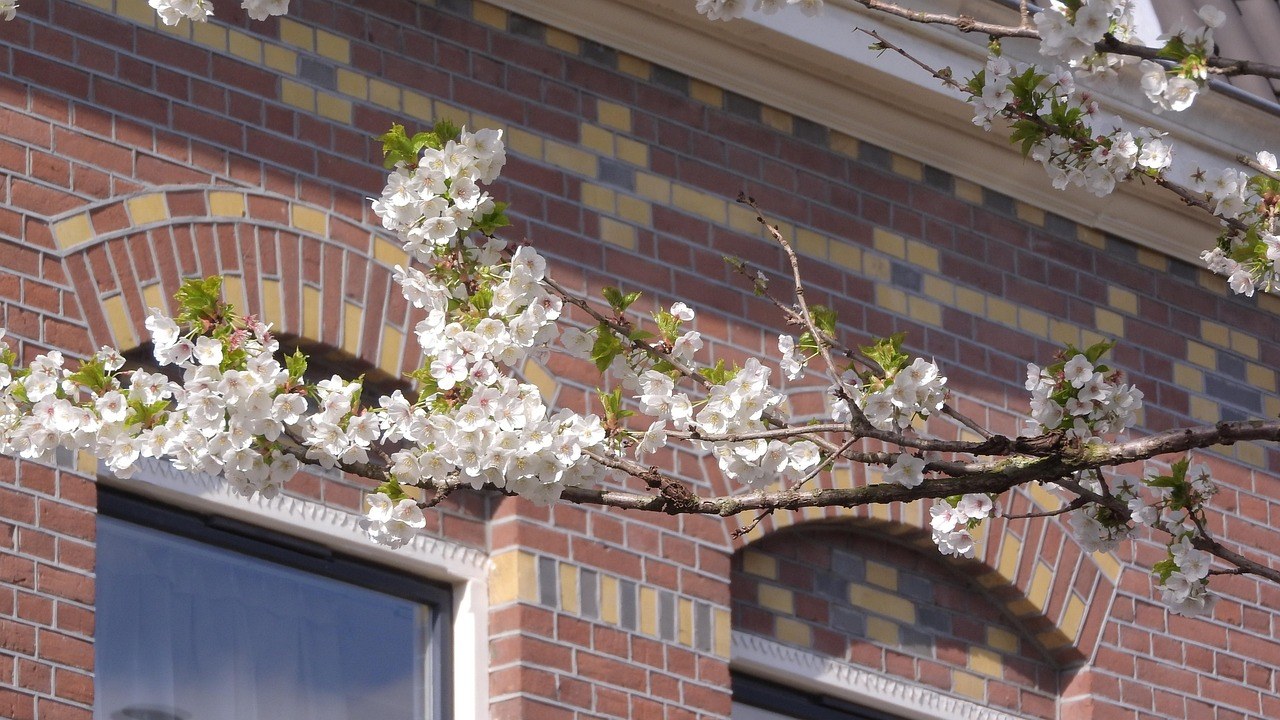 Kako zavesti muža i probuditi požudu kao nikada prije