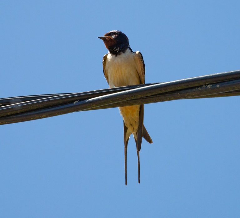Seks s čarapama? Svi razlozi zašto čini seks puno boljim