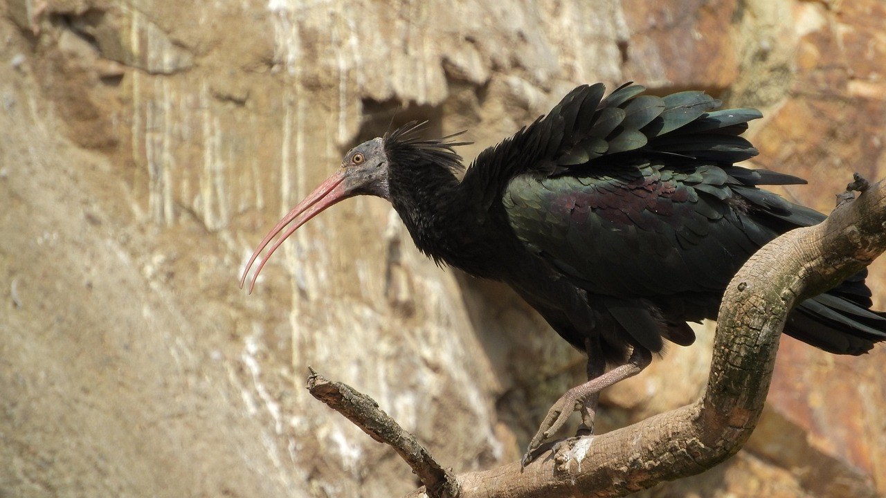 25 tajni kako zavesti prije poljupca i kako ga napaliti tijekom ljubljenja