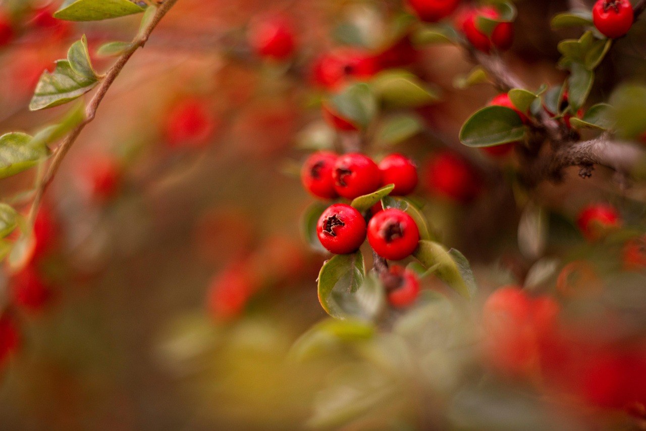 42 uvjerljiva izgovora i načina kako otkazati spoj, a ne biti nepristojan