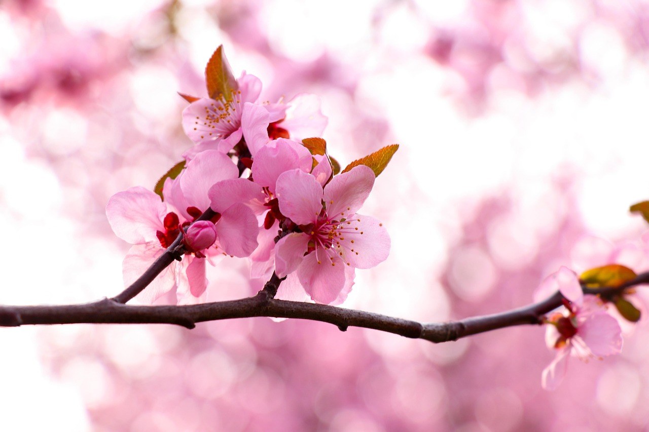 Povijest kondoma i činjenice koje morate znati u 5 minuta