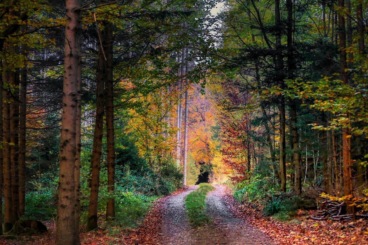 Jesmo li u vezi? 22 slatka znaka da ste više od prijatelja ili hookup