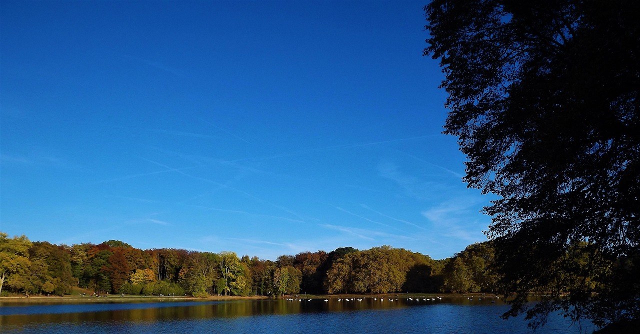 36 slatkih i simpatičnih ideja za spojeve za stvarno zabavne i sretne trenutke u dvoje