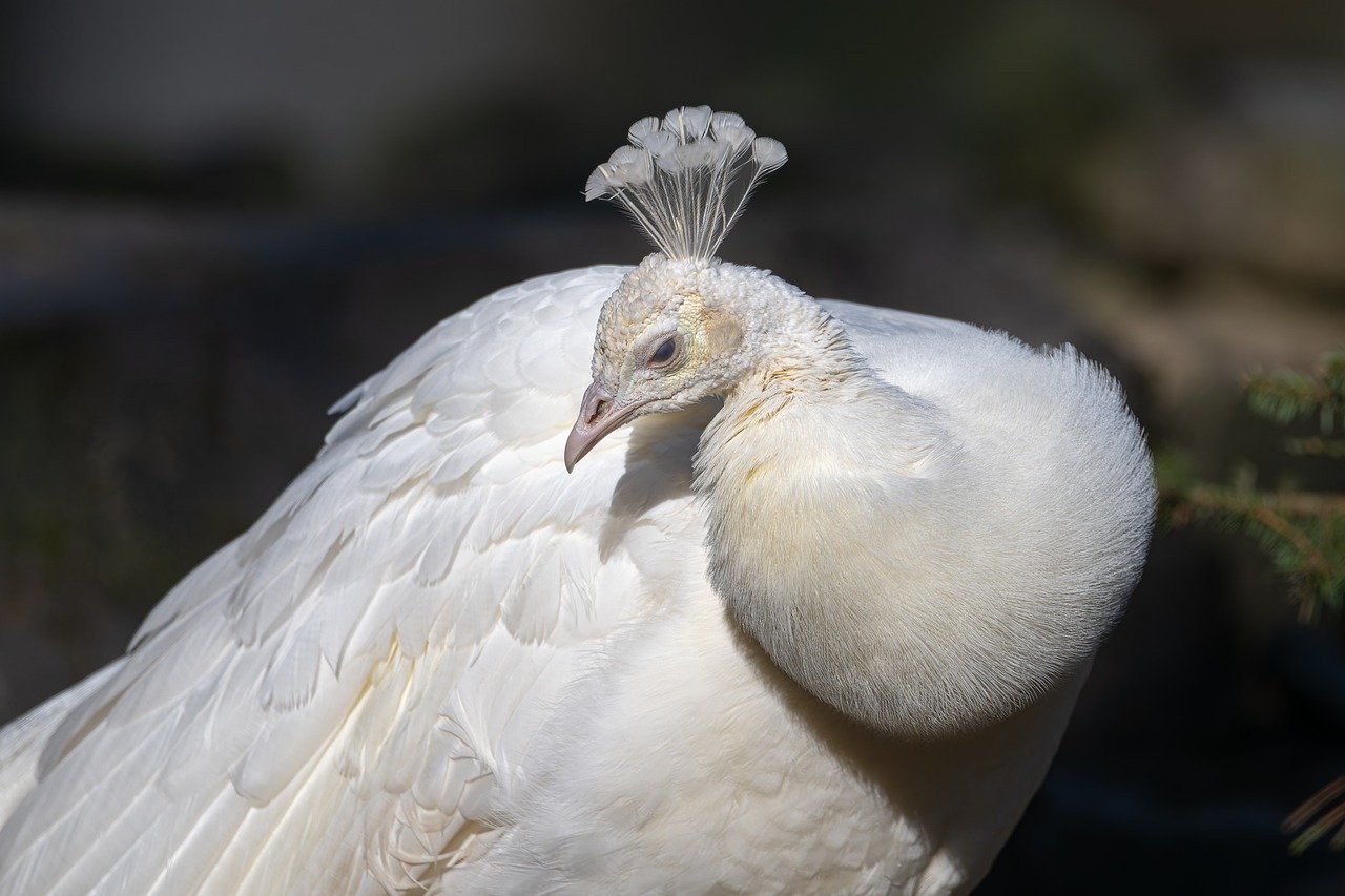 30 najboljih i najgorih riječi za opisati se online i privući svačiji pogled