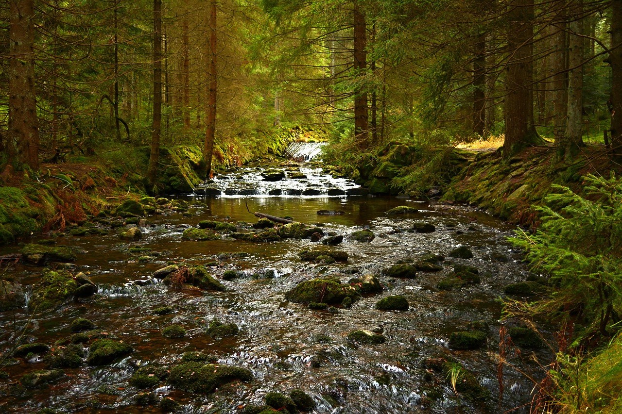 17 novih pojmova s dating aplikacija i njihova značenja za lakše online upoznavanje