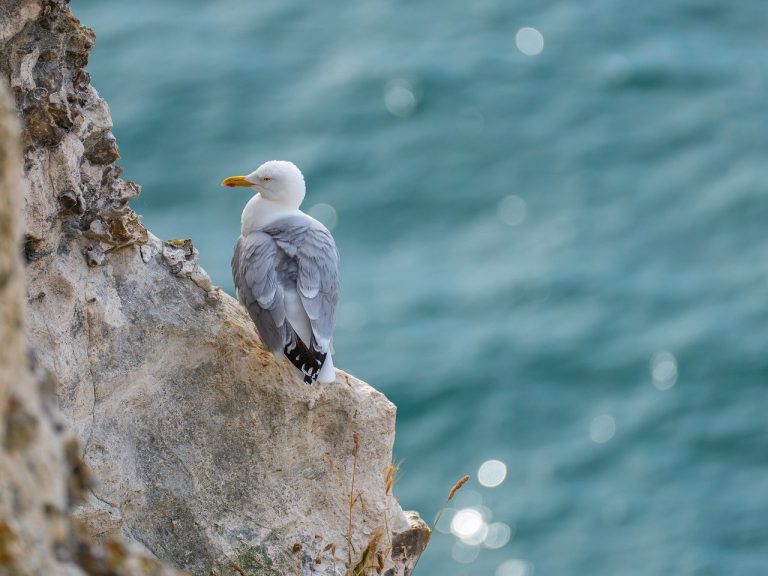 Pravila za dejtanje nakon 40: kako pronaći onoga pravog kad se igra promijenila