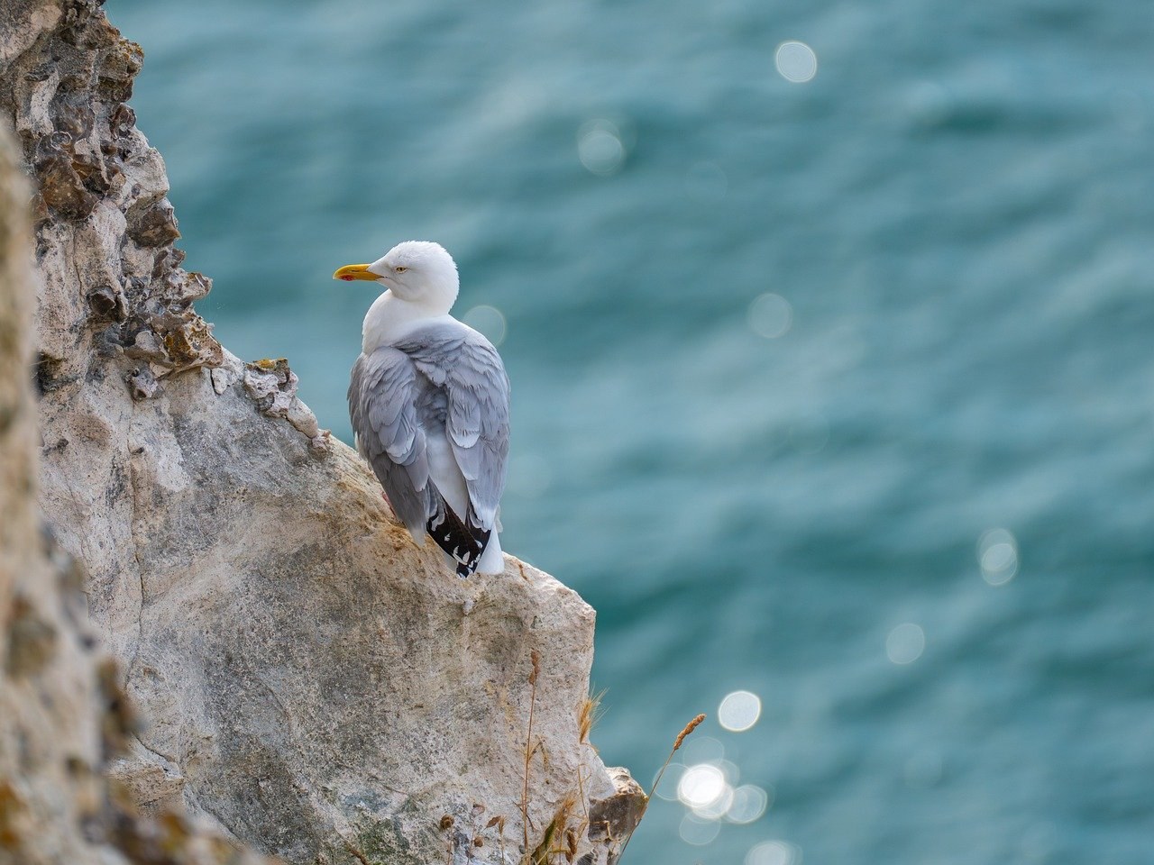 Pravila za dejtanje nakon 40: kako pronaći onoga pravog kad se igra promijenila