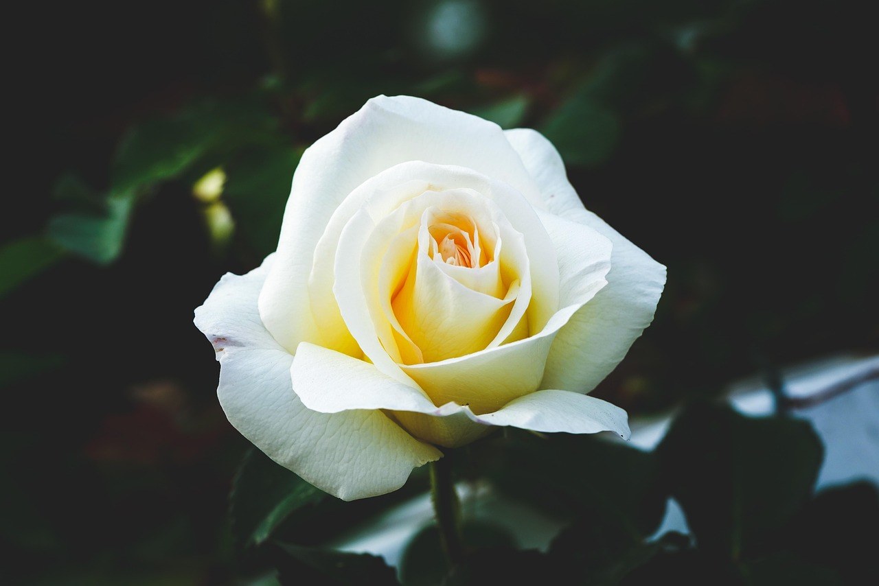 23 savjeta za vezu na poslu i kako se nositi s prekidom