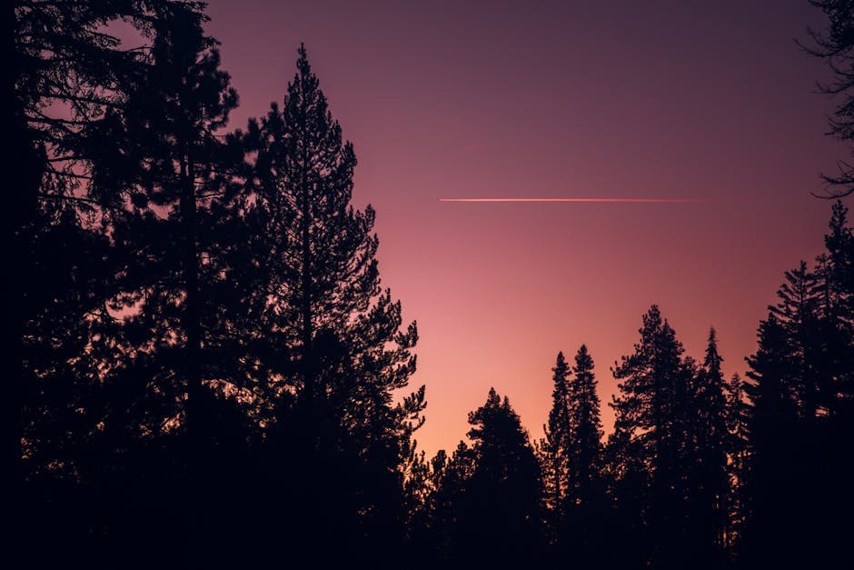 25 najboljih ideja za šestomjesečnu obljetnicu i 100+ romantičnih ideja za spoj