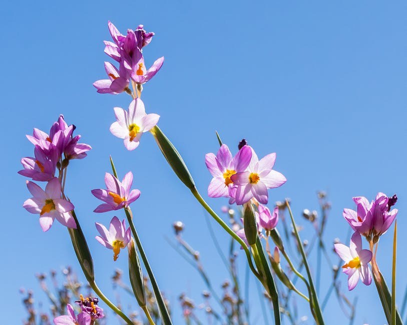 Ljubav koja traje: kako ostati zaljubljeni zauvijek u vezi