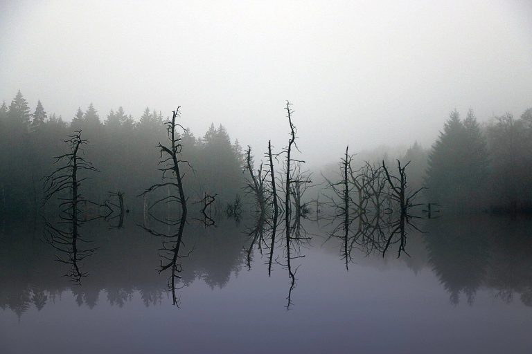 relationship FOMO : 56 istina, znakova i učinaka izlazaka s osobom koja ima FOMO