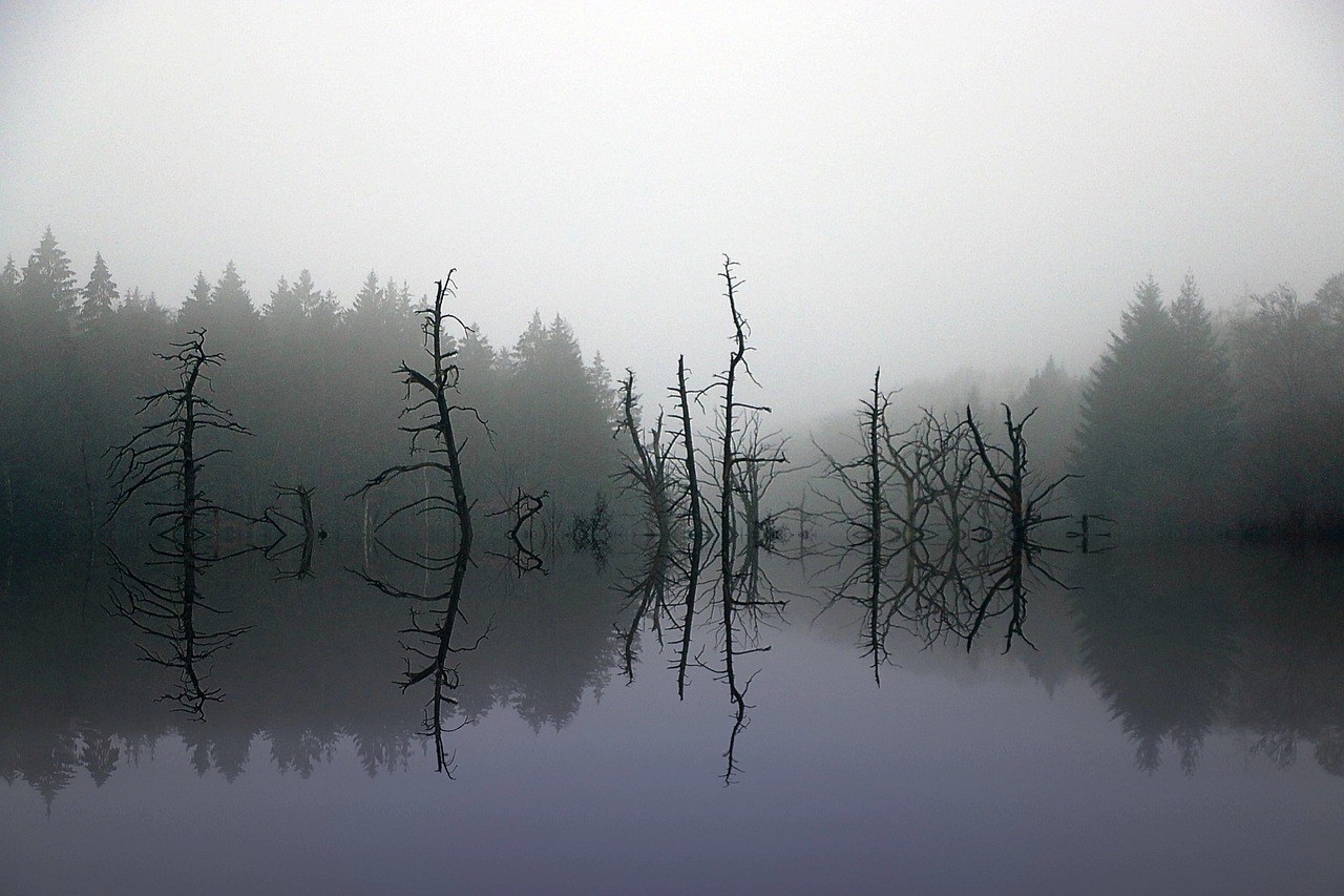 relationship FOMO : 56 istina, znakova i učinaka izlazaka s osobom koja ima FOMO