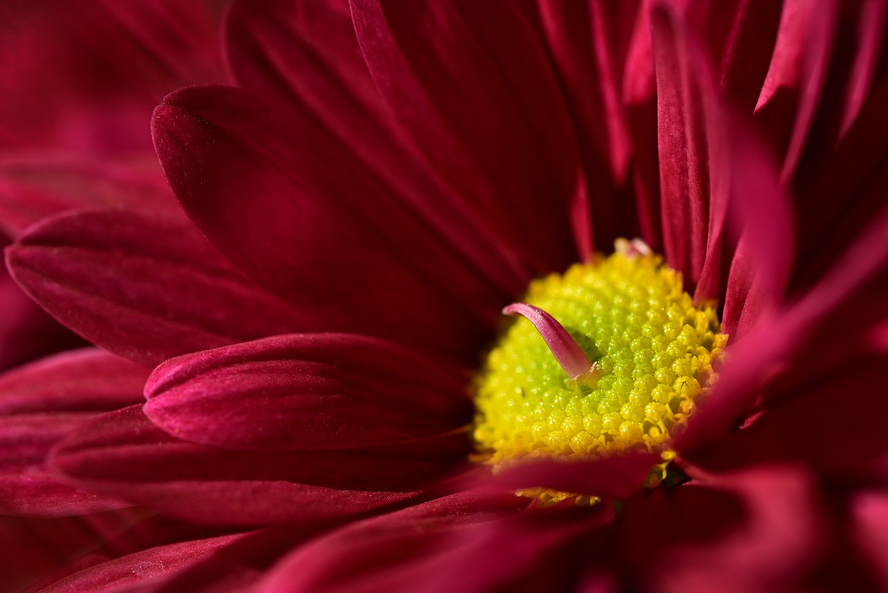 Što je Instagrandstanding i kako se koristi za flert na internetu