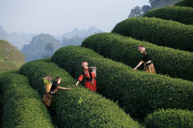 Od smiješnog do suza - 20 pjesama o prekidu