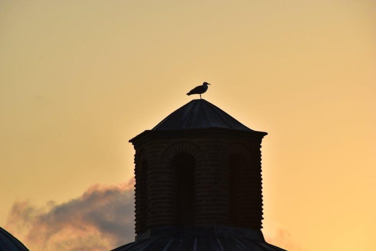 38 tajni zaustavljanja overthinking - kako izgleda, znakovi i najbrže metode