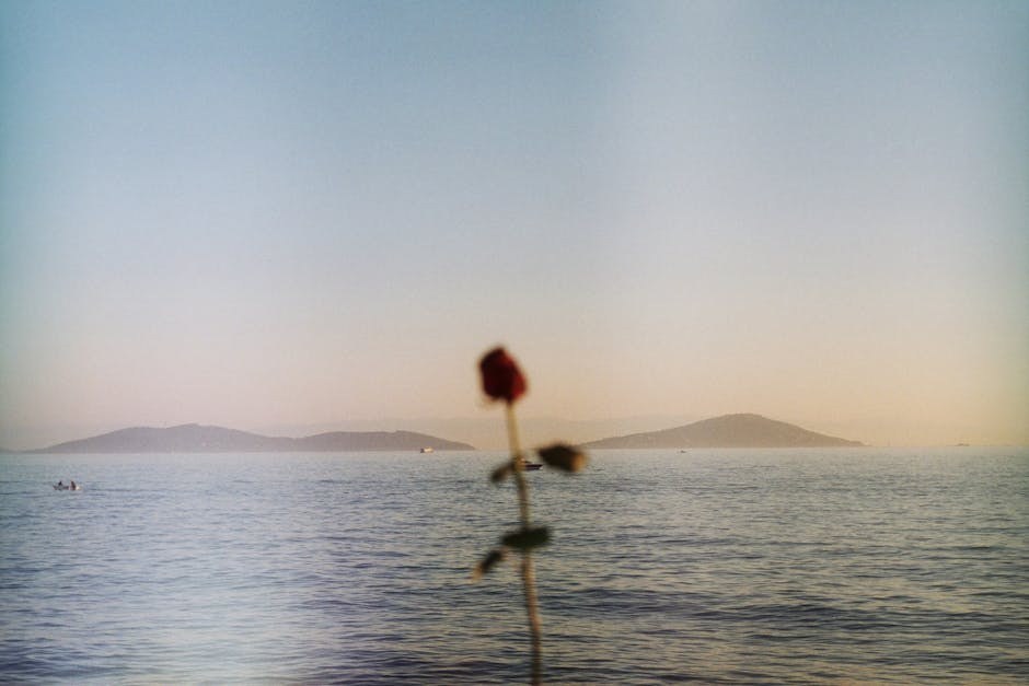 18 temelja veze koji razlikuju dobru od loše