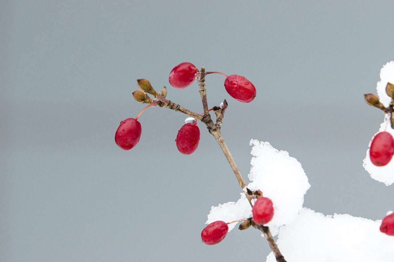 20 velikih laži o spojevima koje moraš izbaciti iz glave
